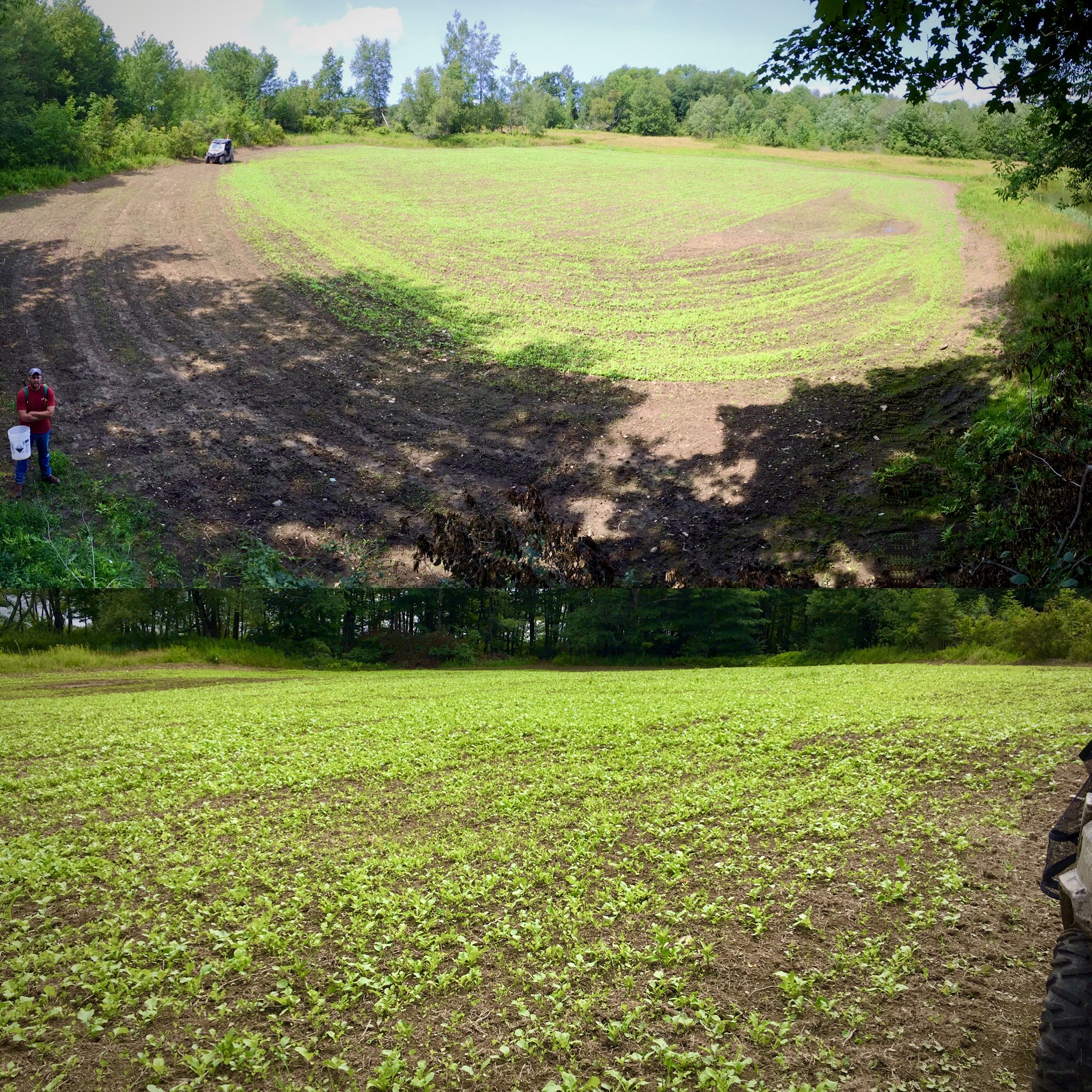 Food Plots – 2020 – Fast Food Plots