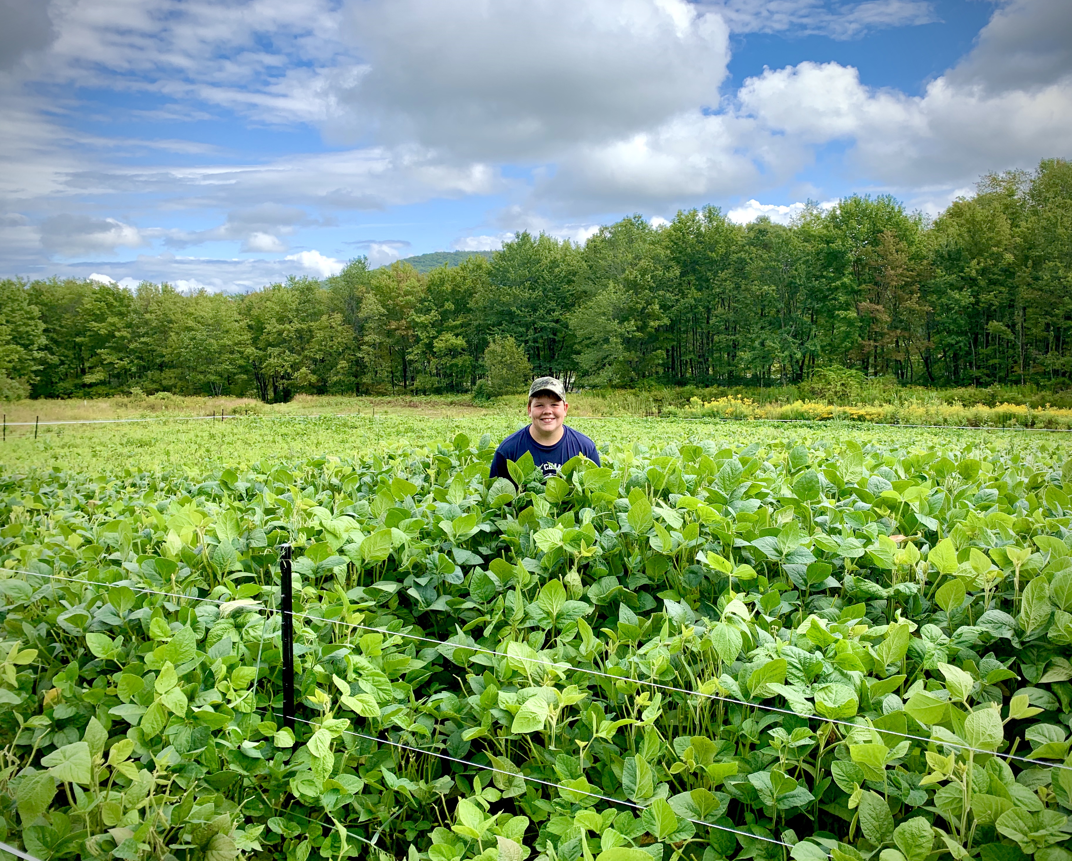 Food Plots – 2020 – Fast Food Plots