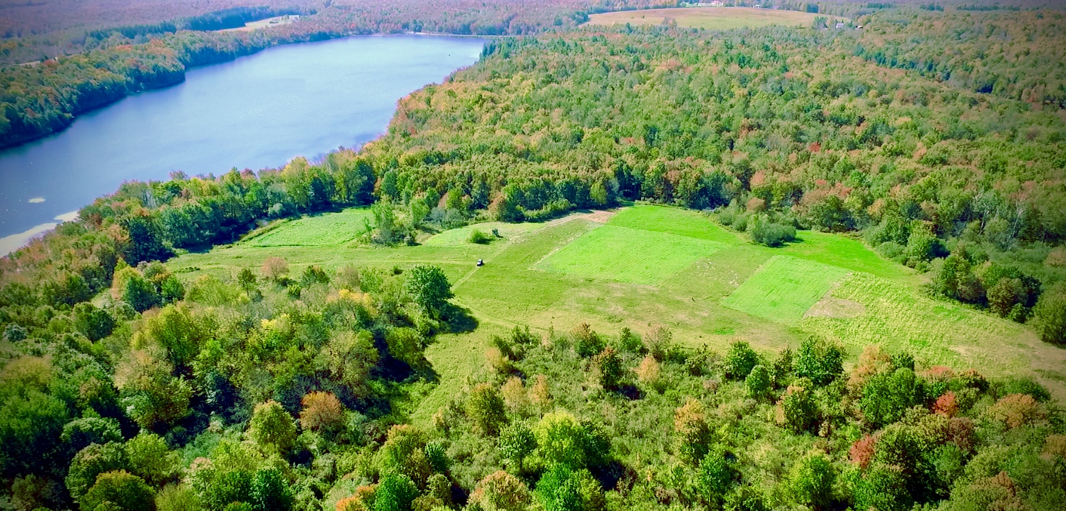 Food Plots – 2020 – Fast Food Plots