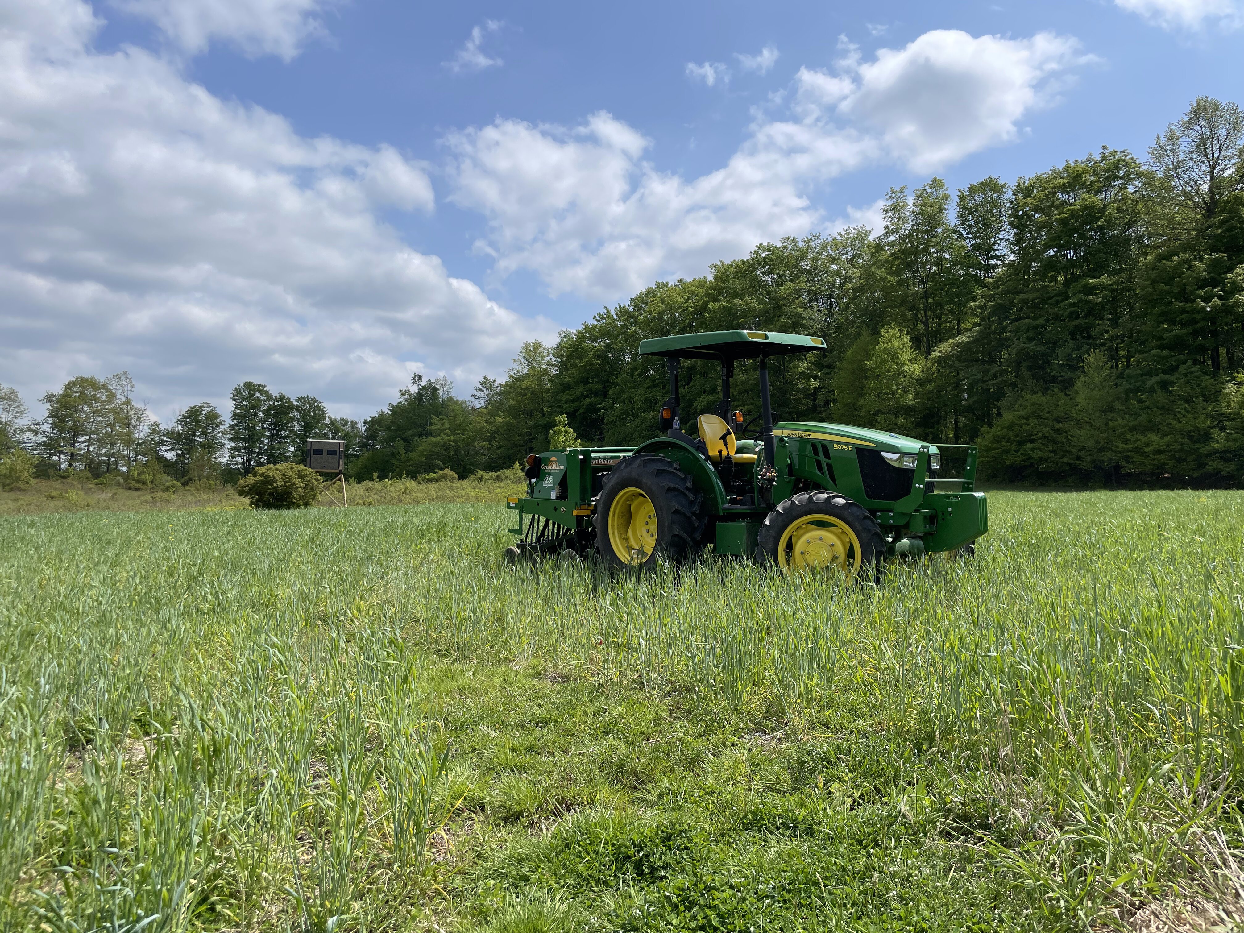 2023 Food Plots