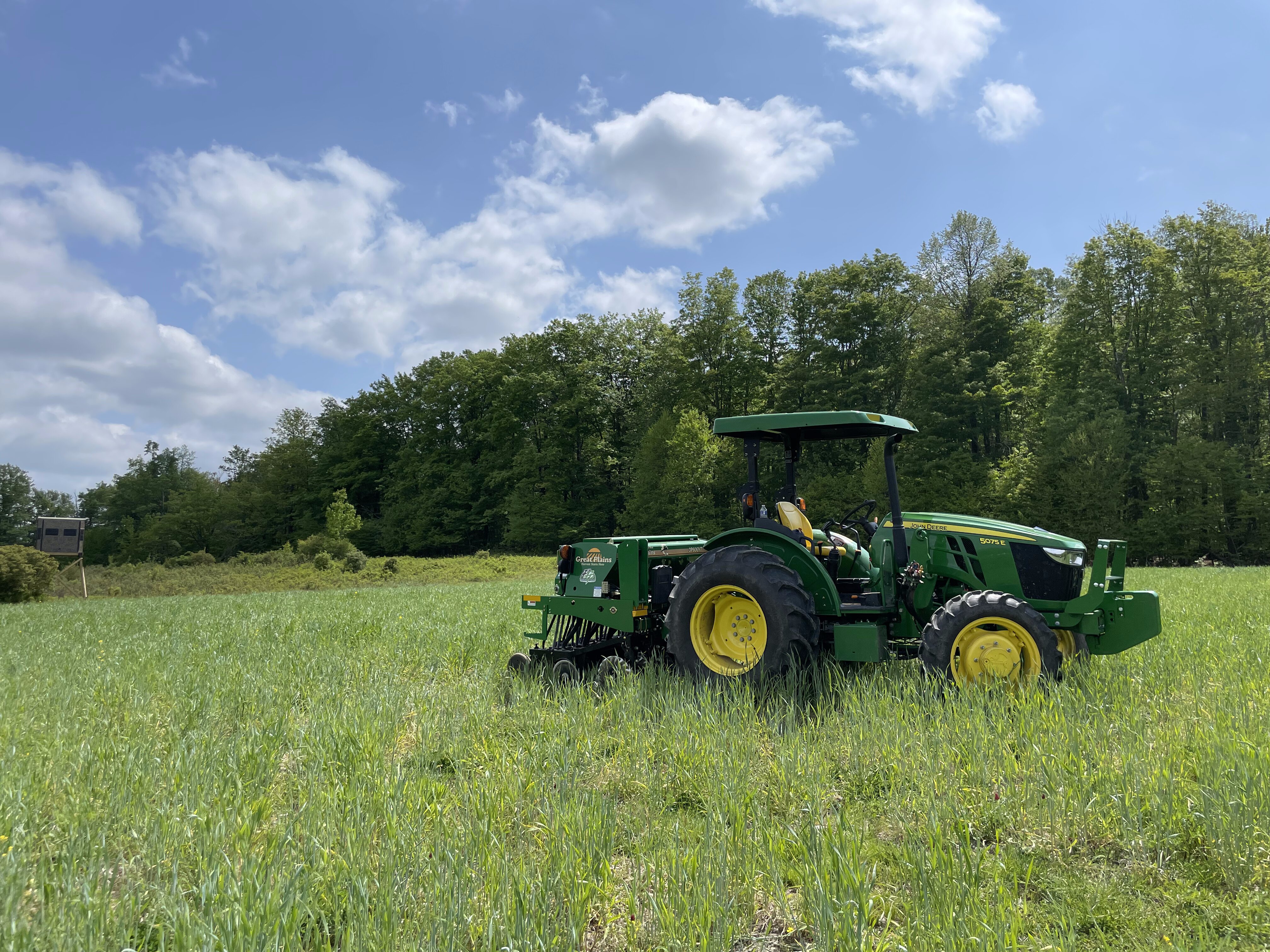 2023 Food Plots