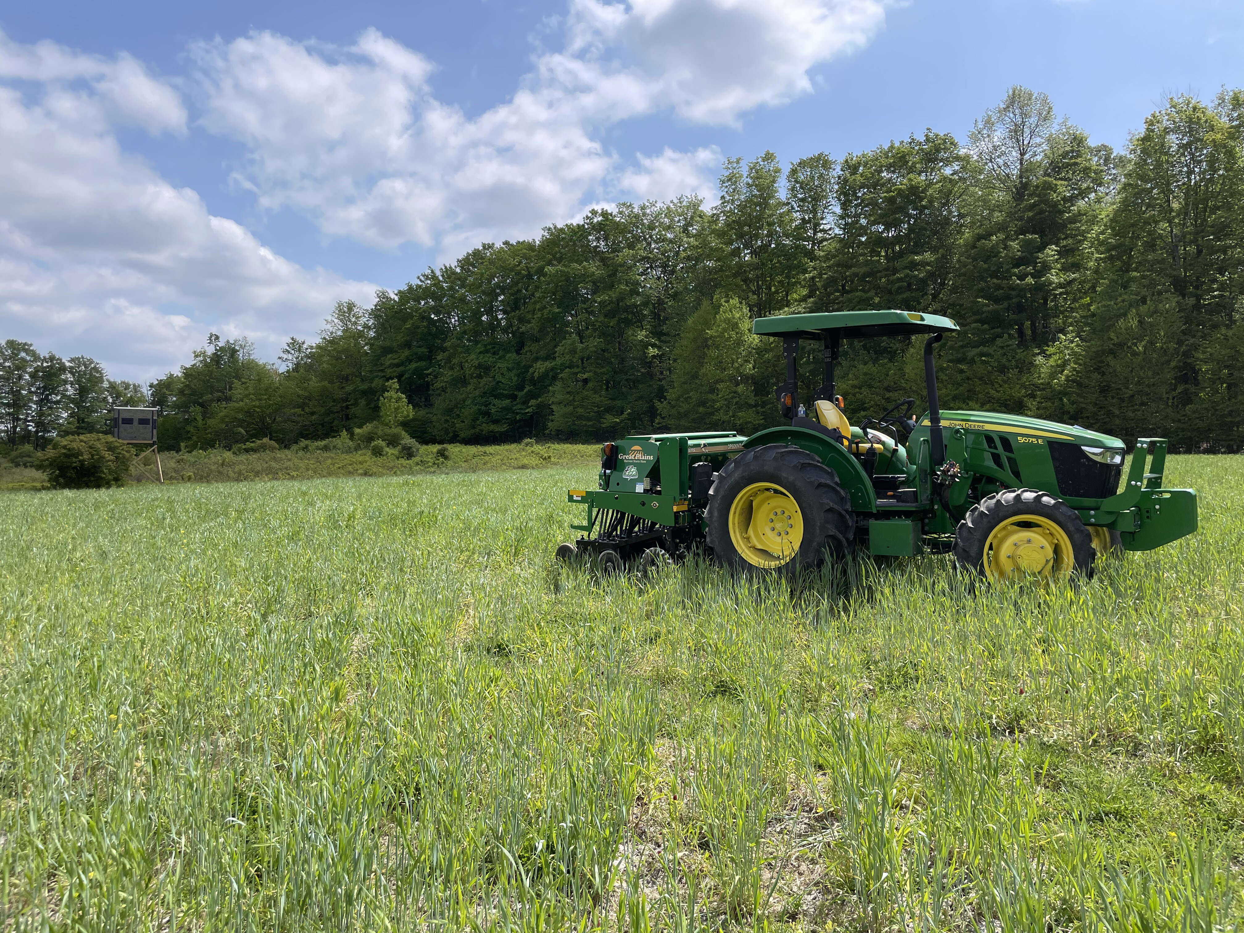2023 Food Plots