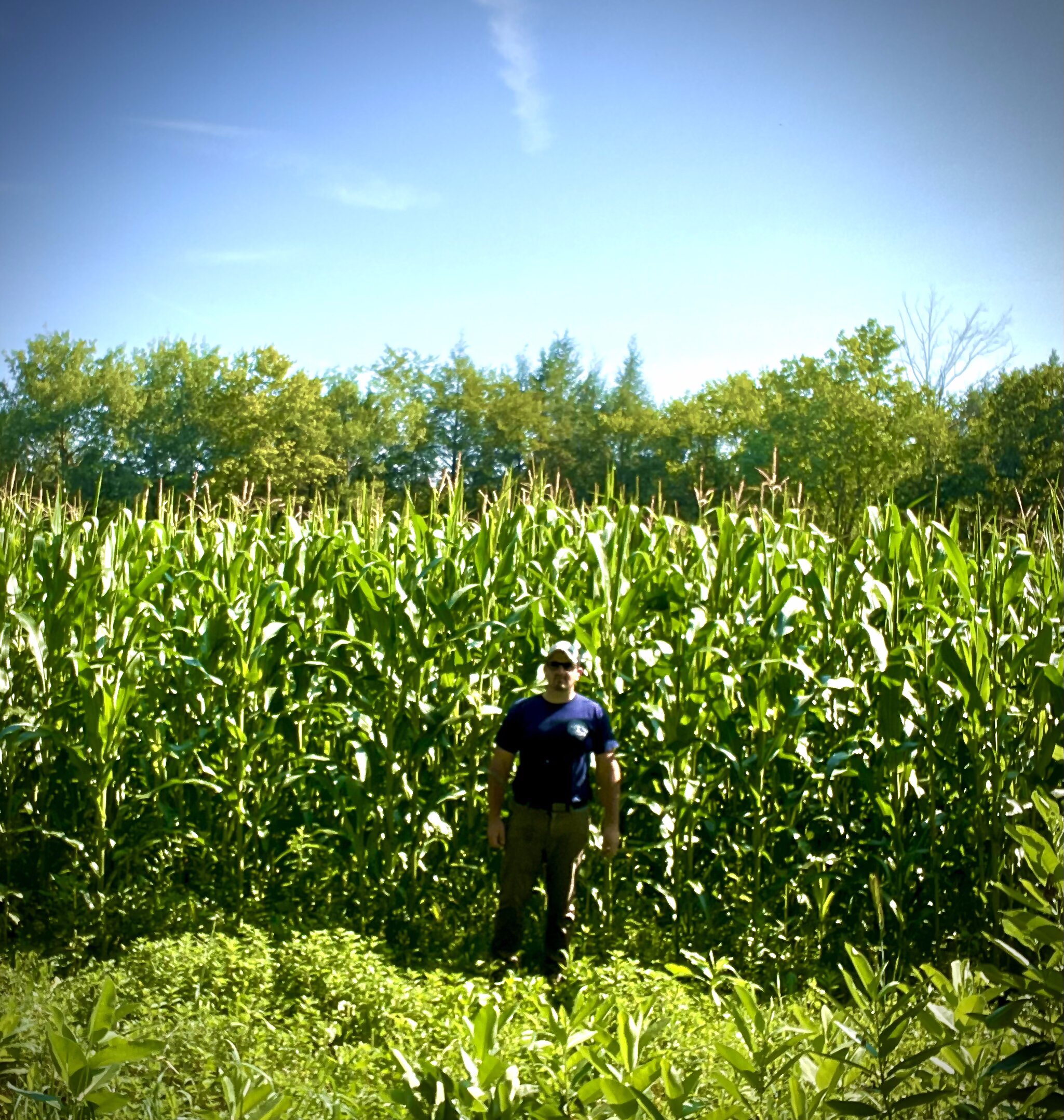 2023 Food Plots
