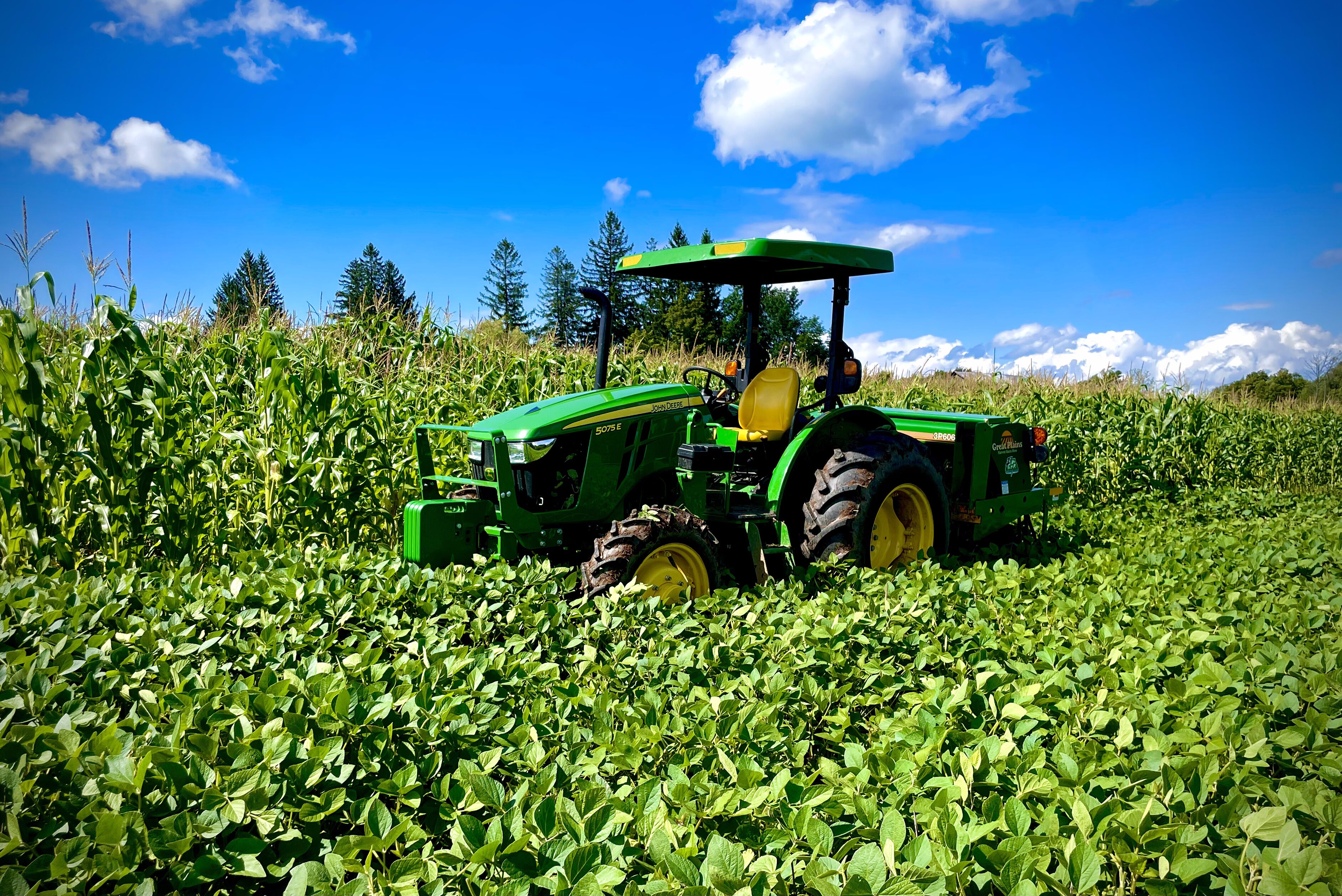 2023 Food Plots