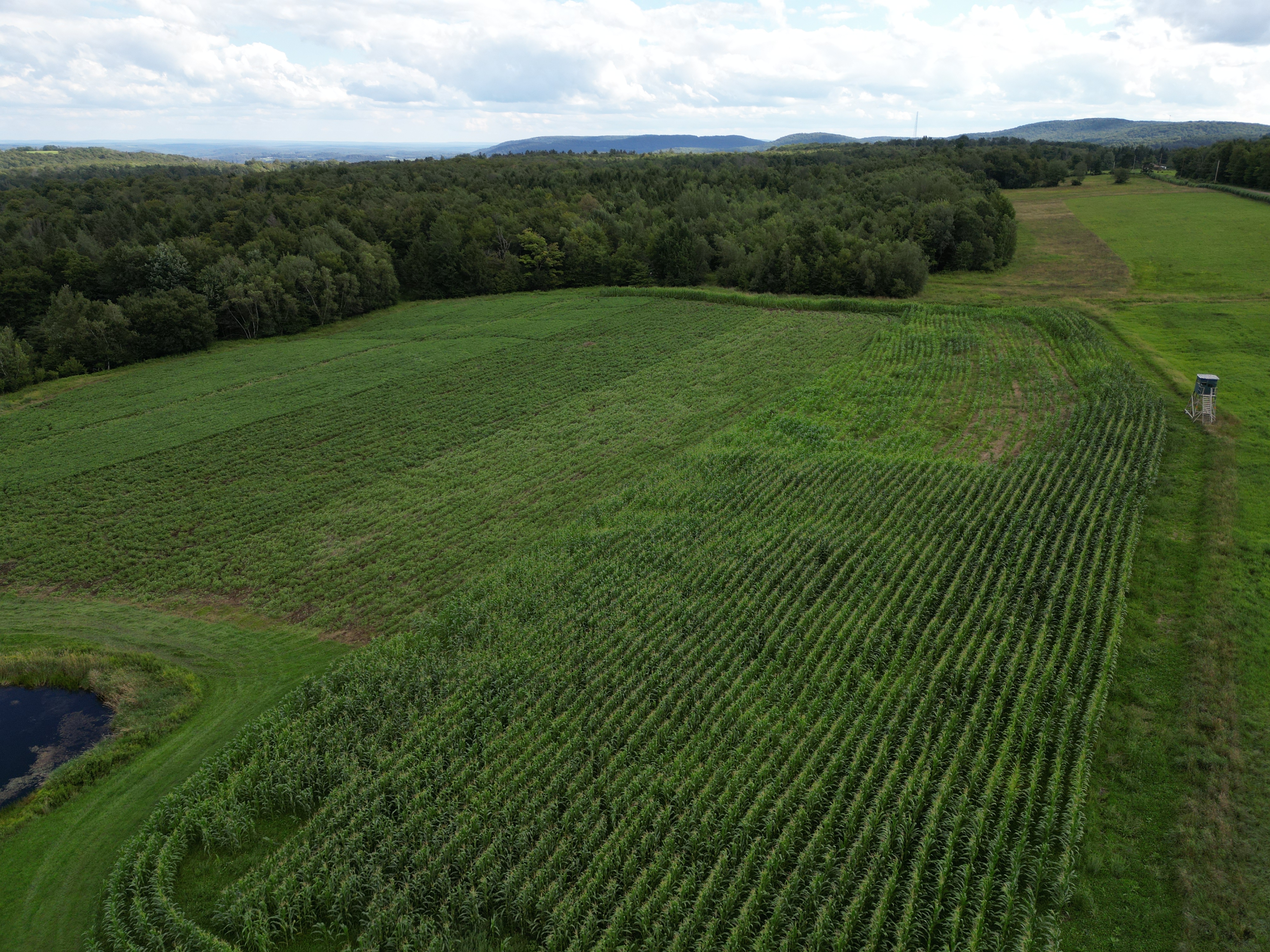 2023 Food Plots