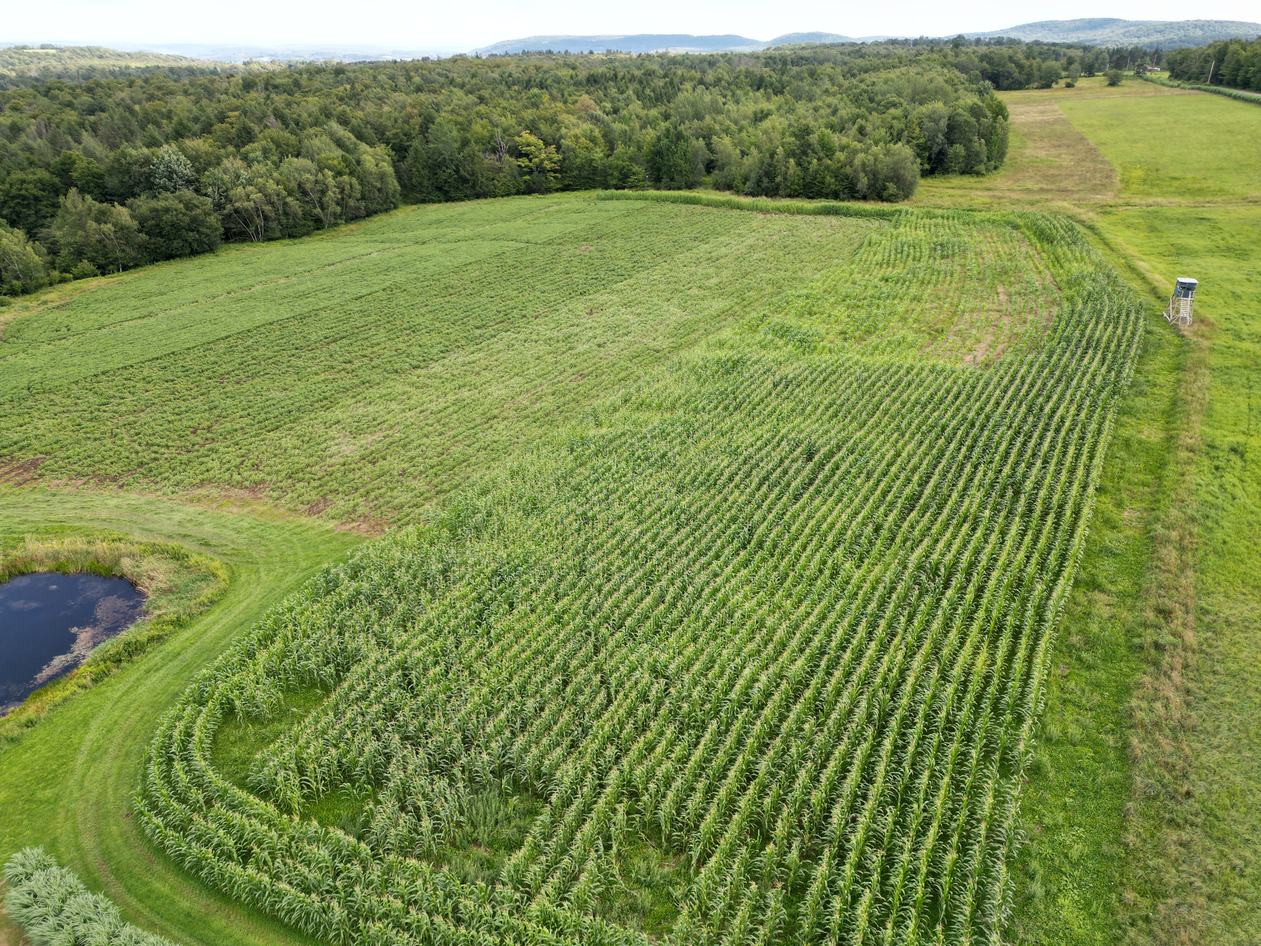 2023 Food Plots