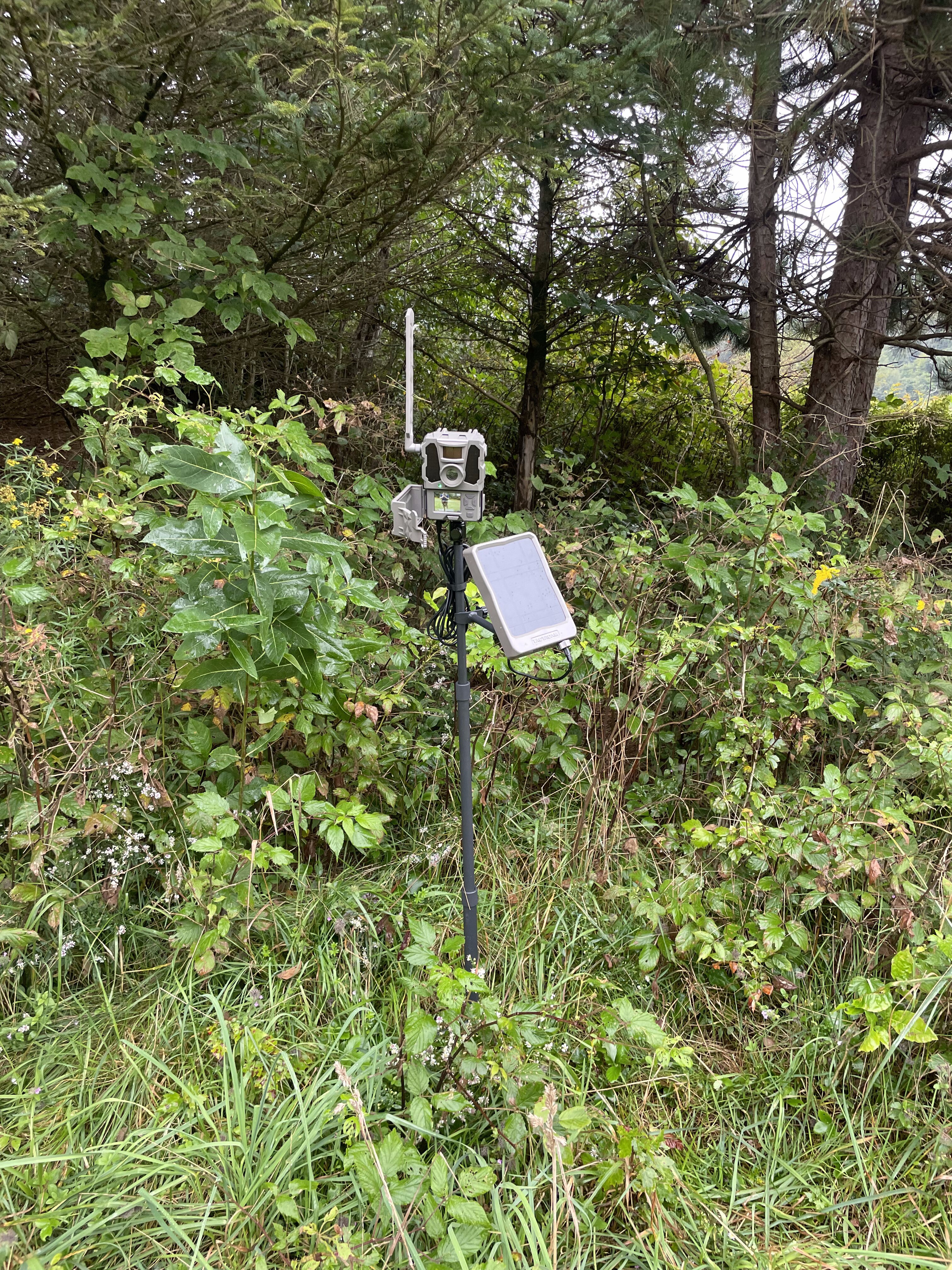 2023 Property Management