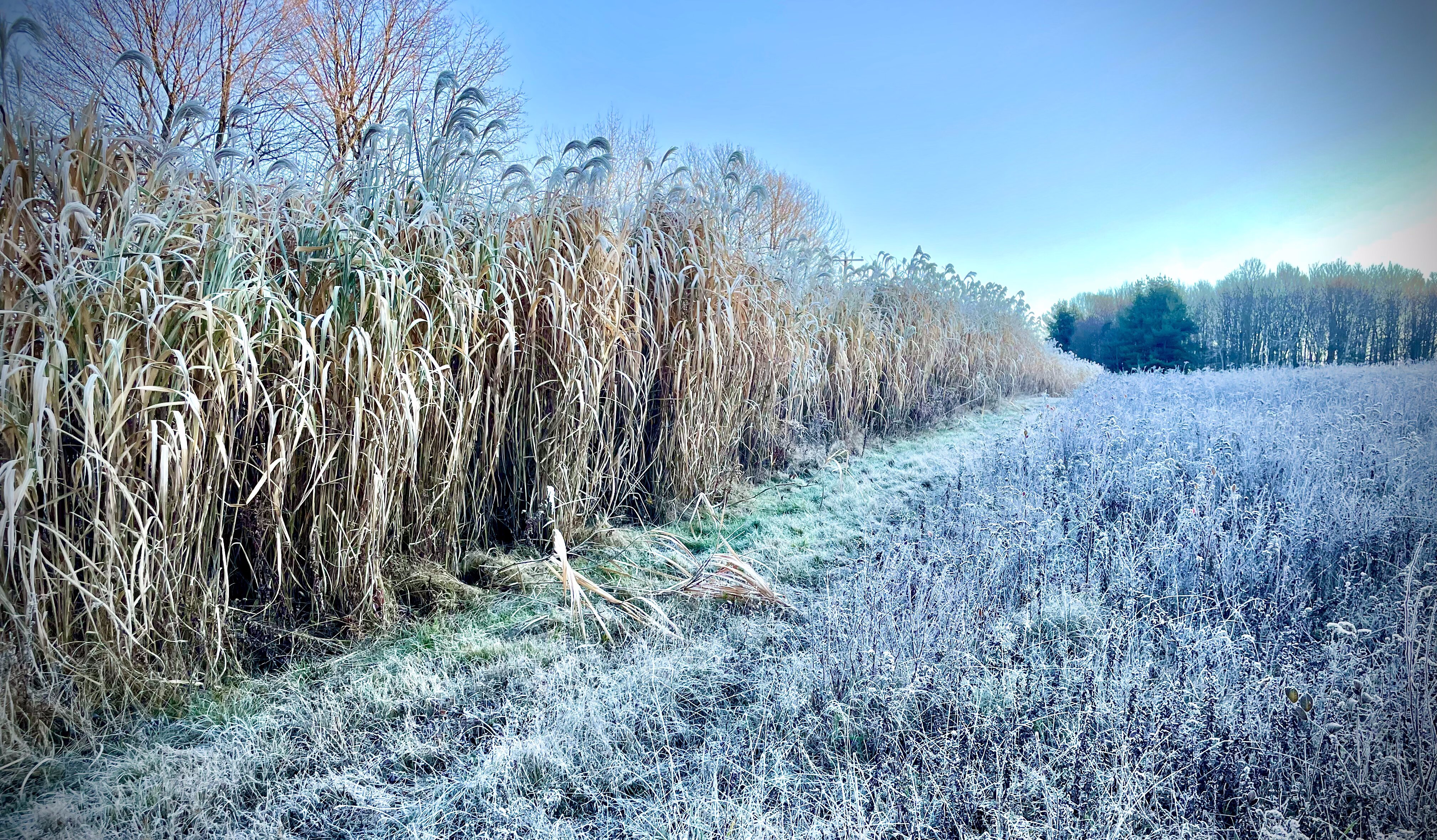 2023 Property Management