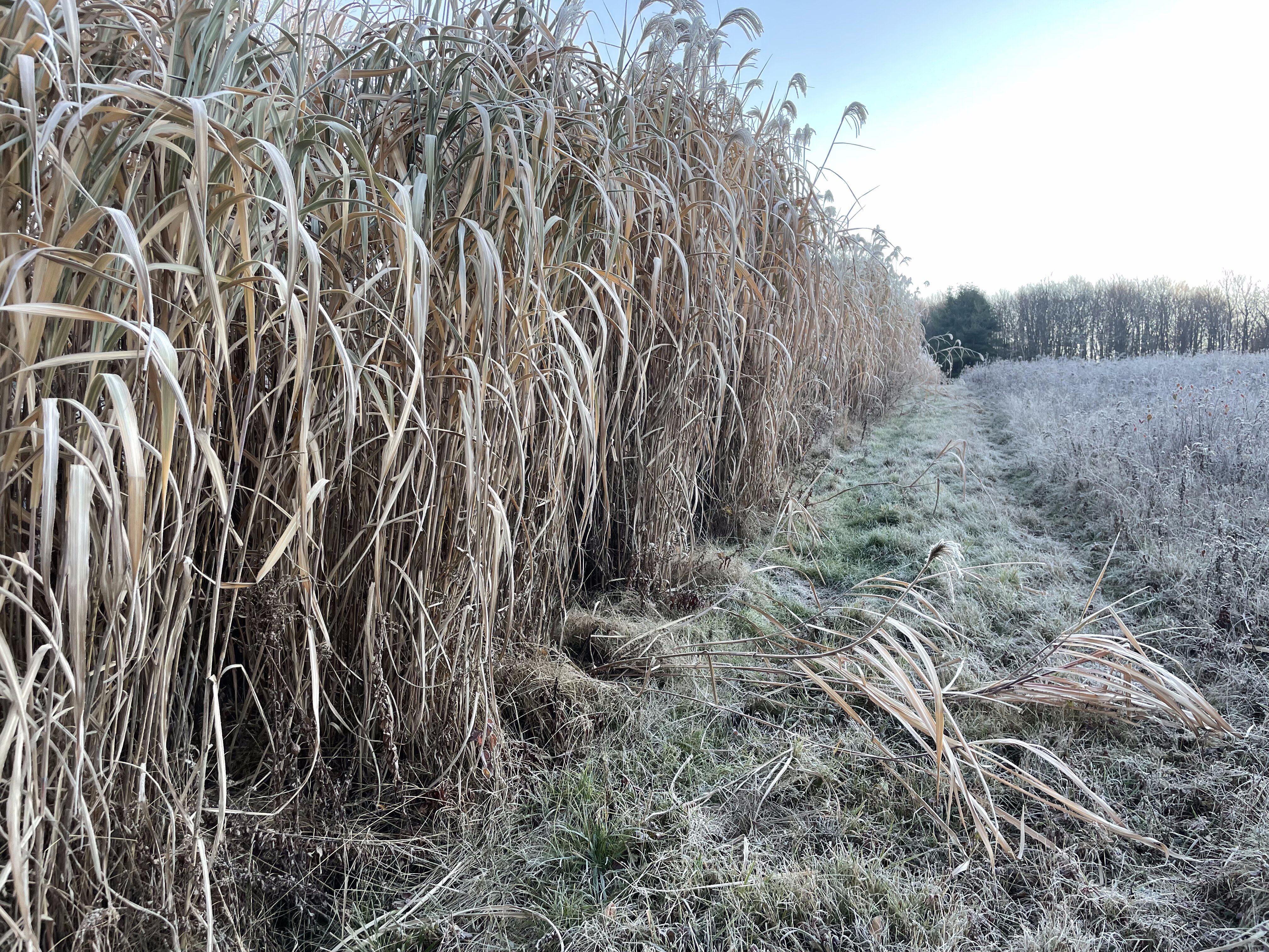 2023 Property Management