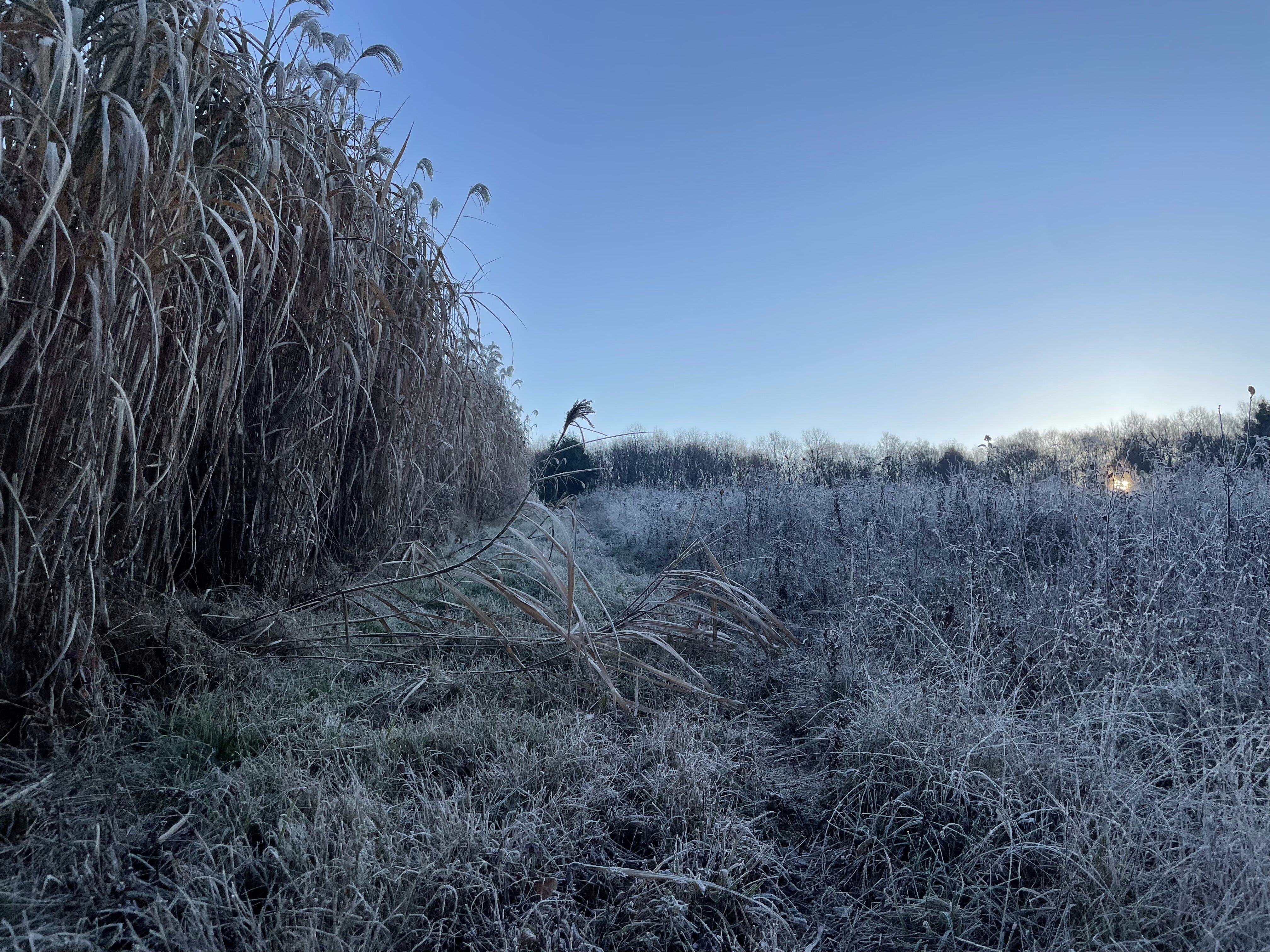 2023 Property Management