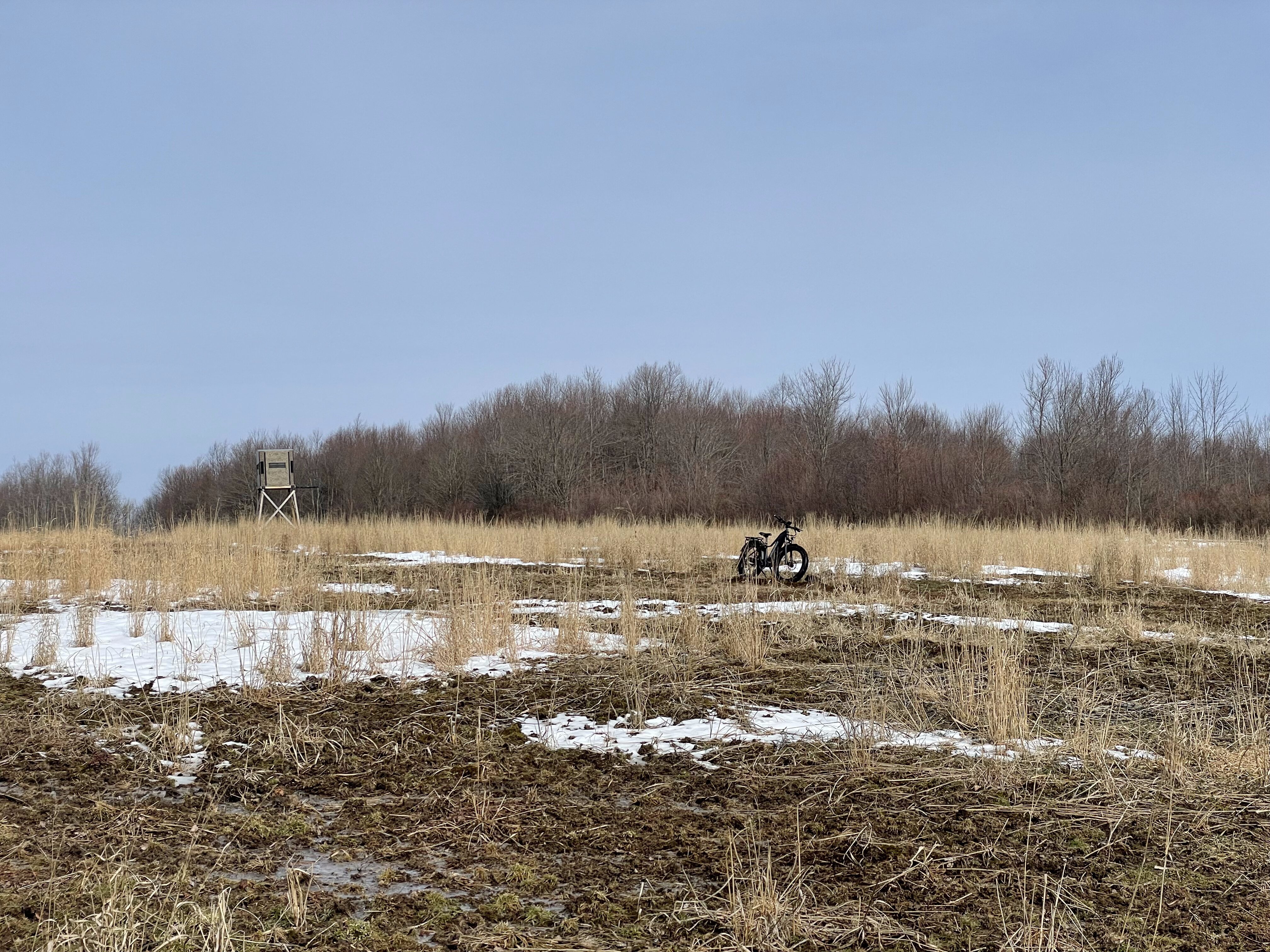 2023 Property Management