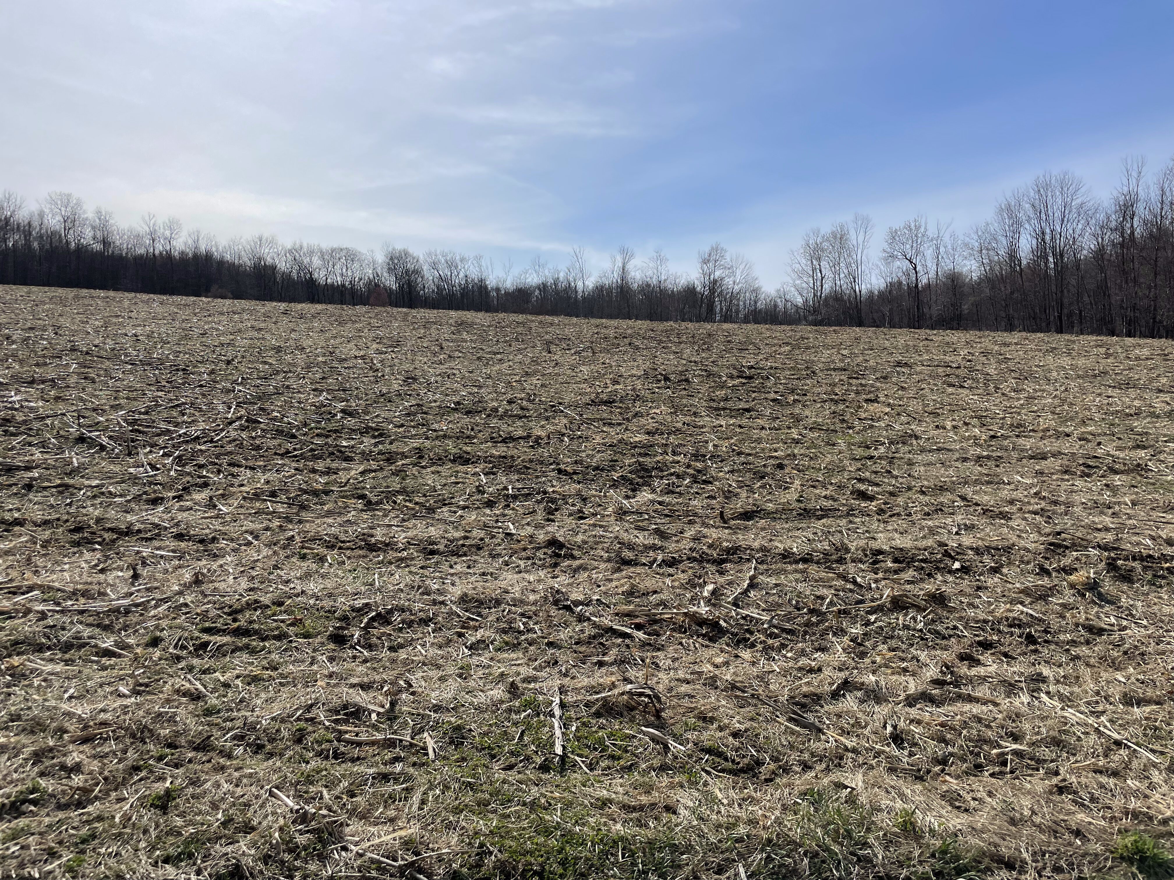 2023 Property Management