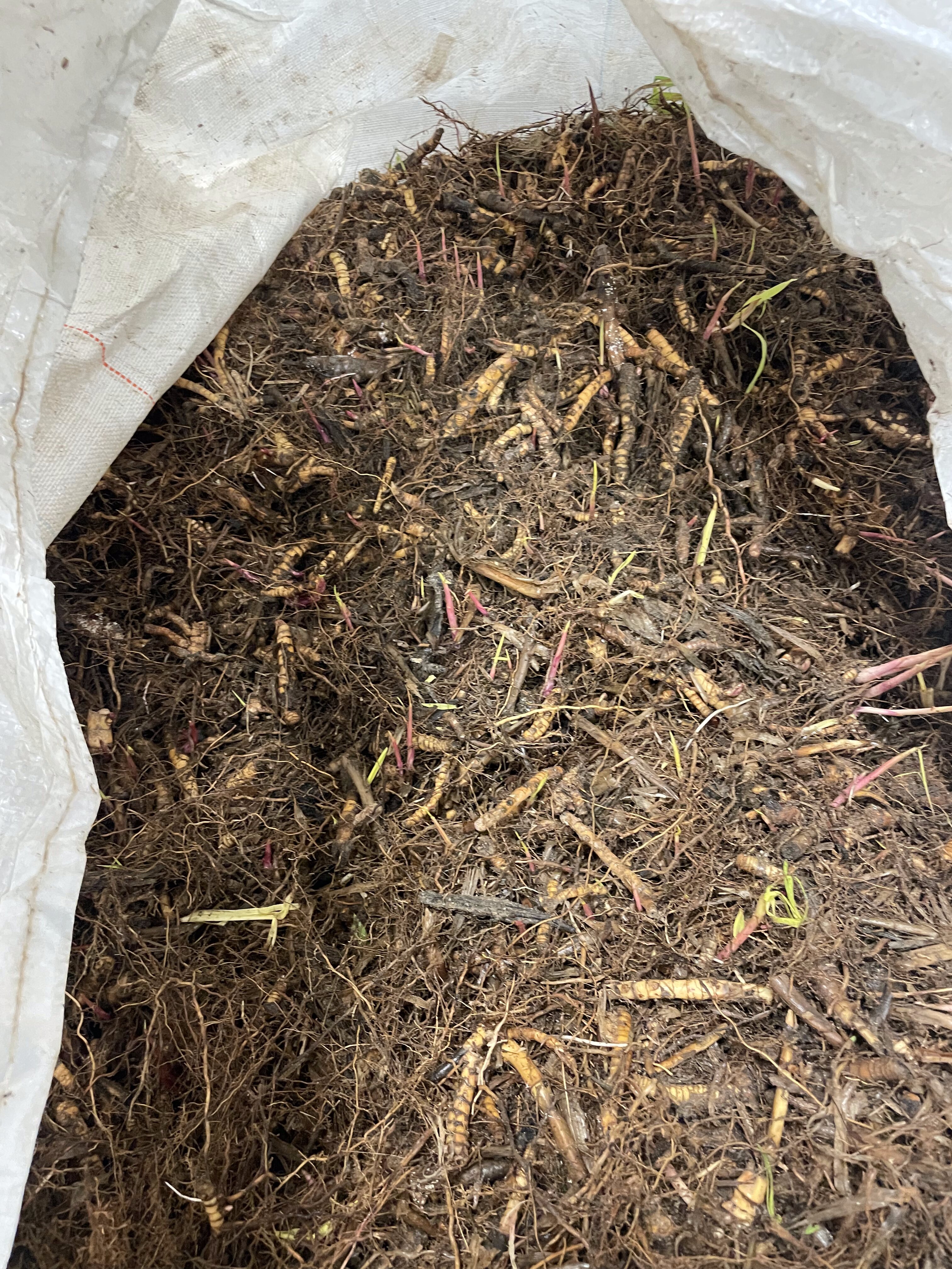 2023 Property Management