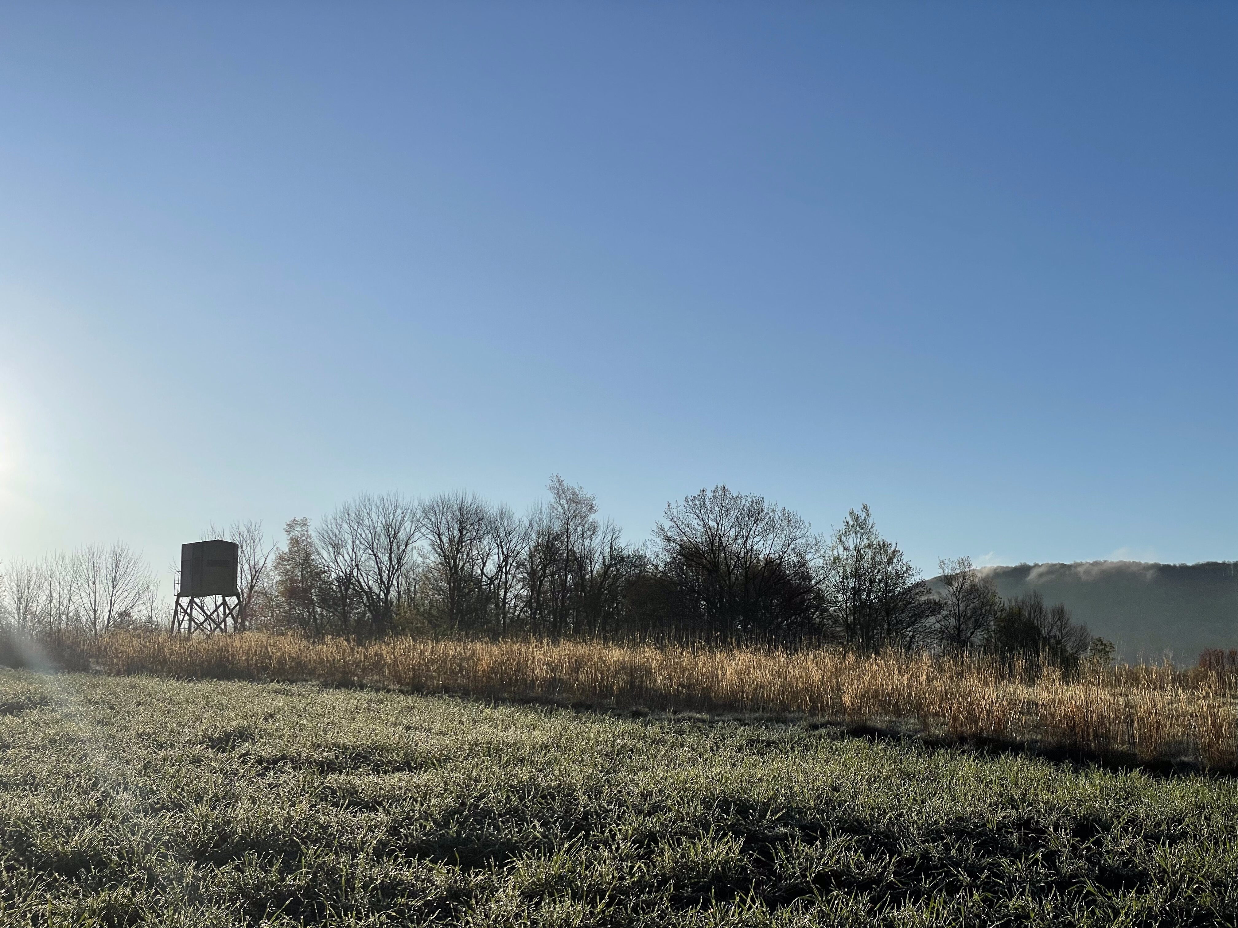 2023 Property Management