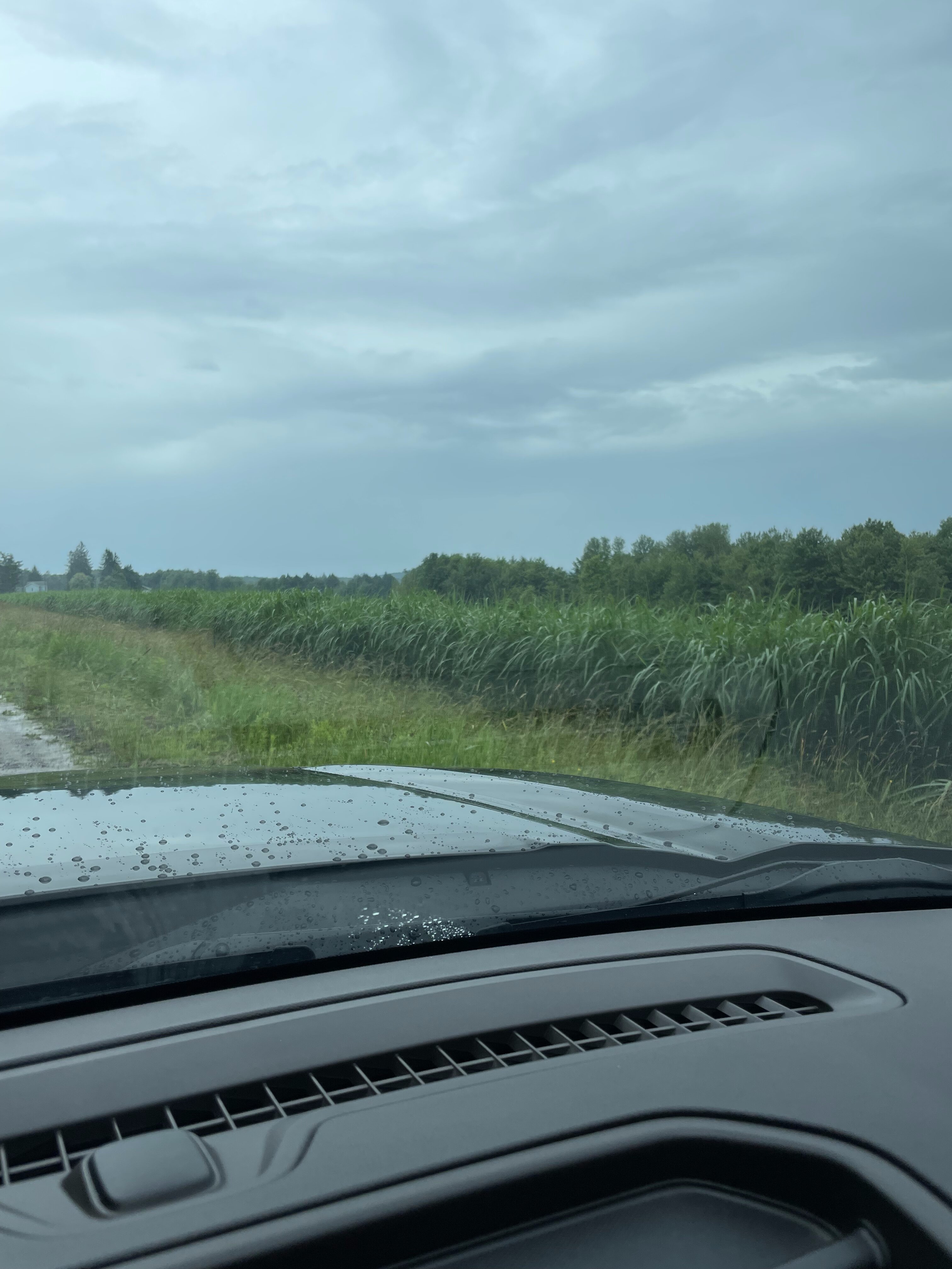 2023 Property Management