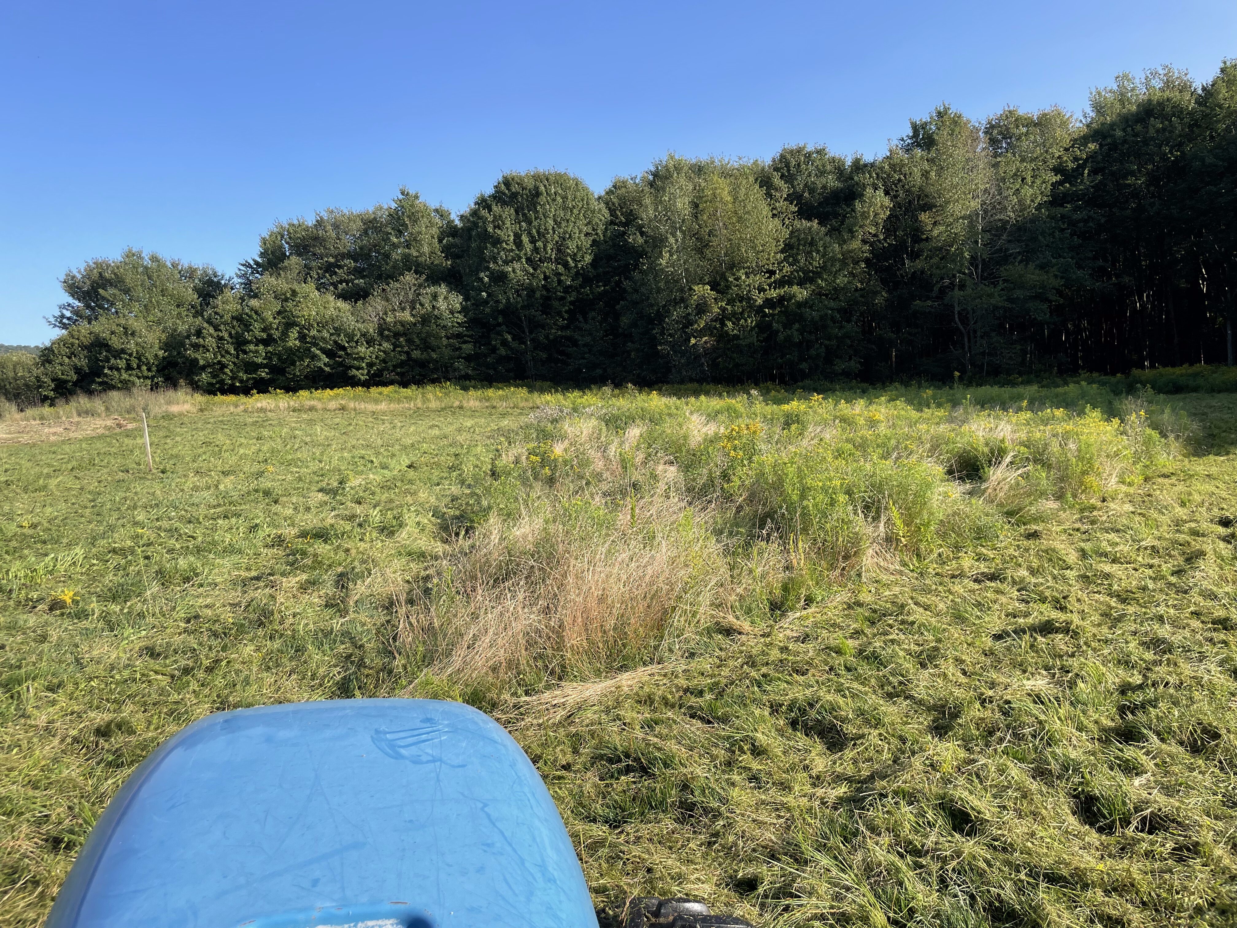 2023 Property Management