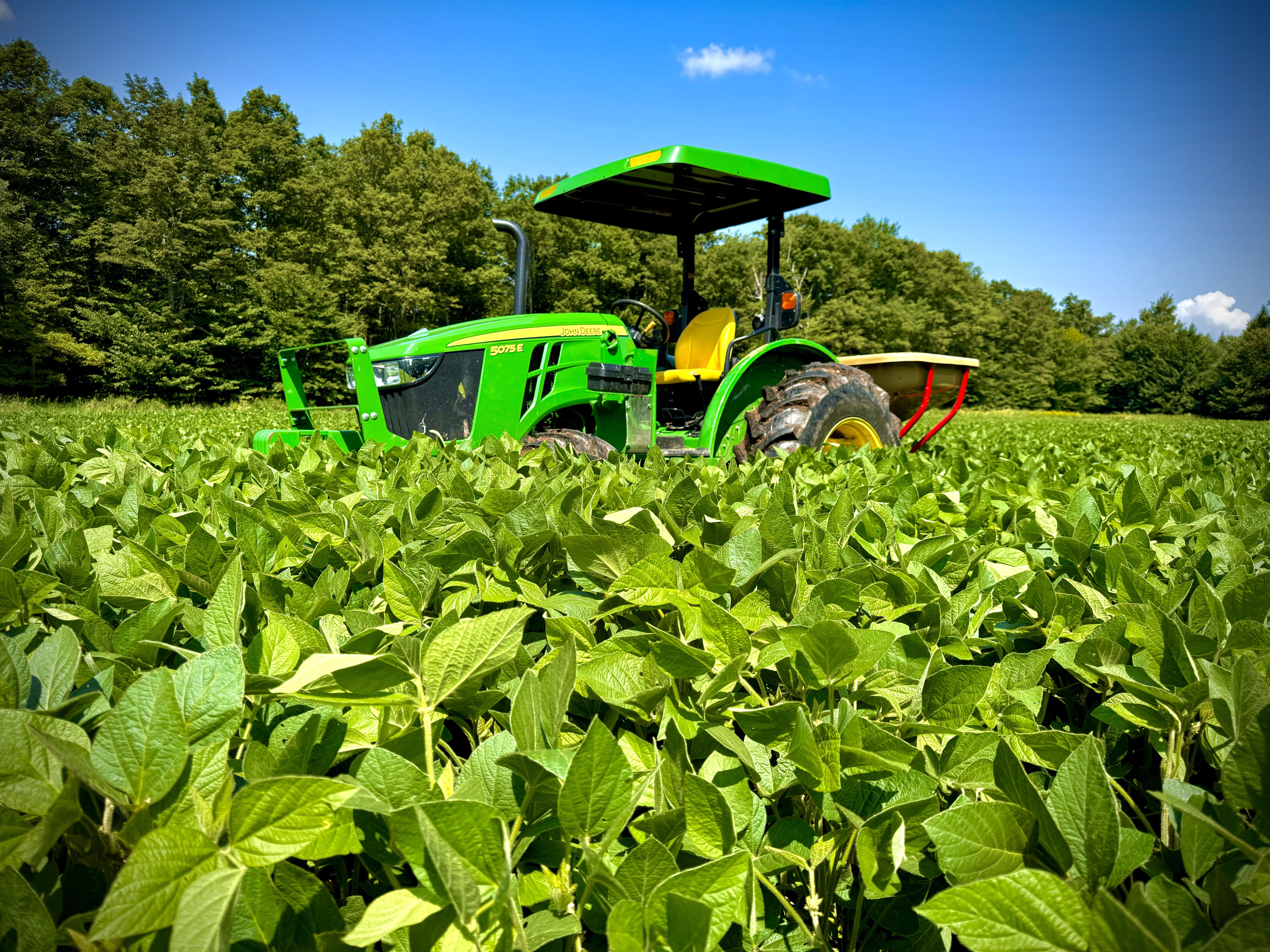 2024 Food Plots