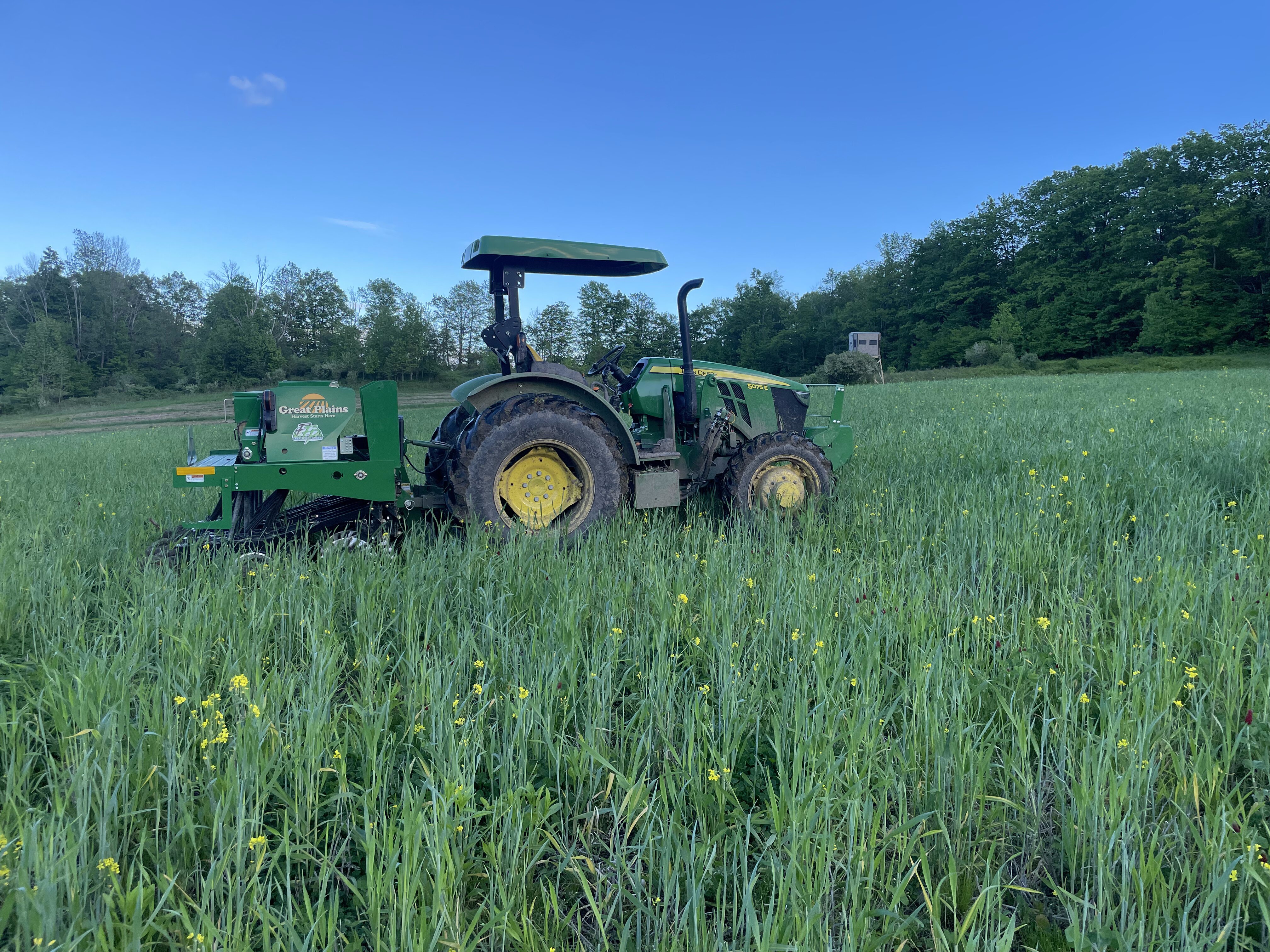 2024 Food Plots