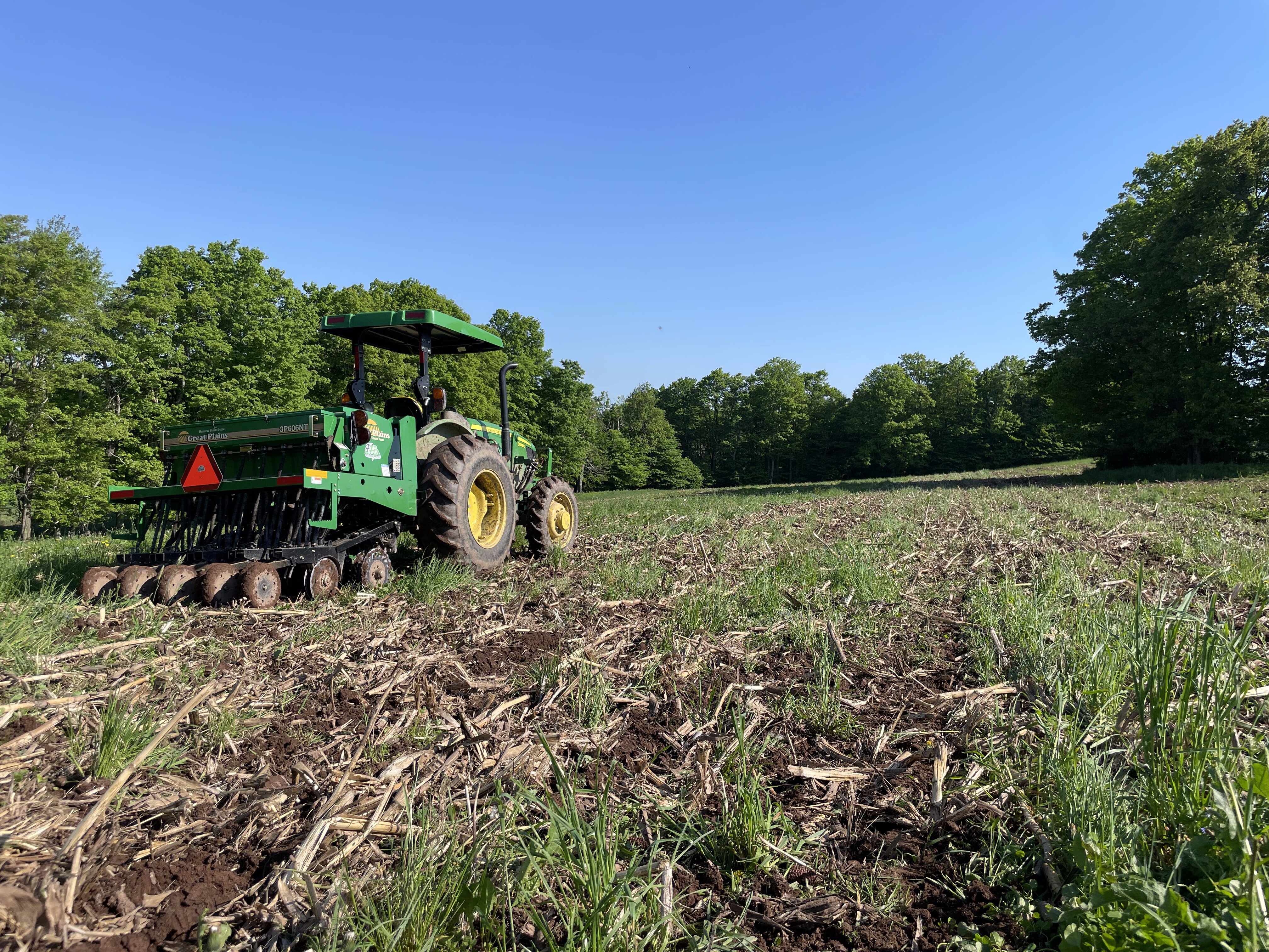 2024 Food Plots