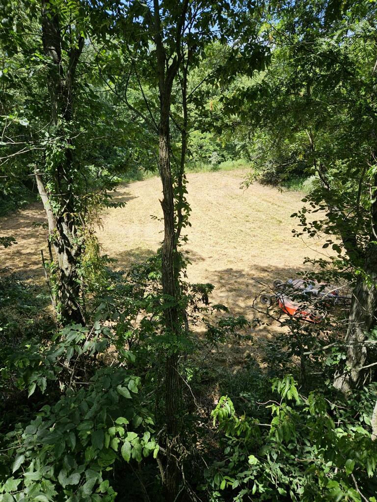 2024 Food Plots