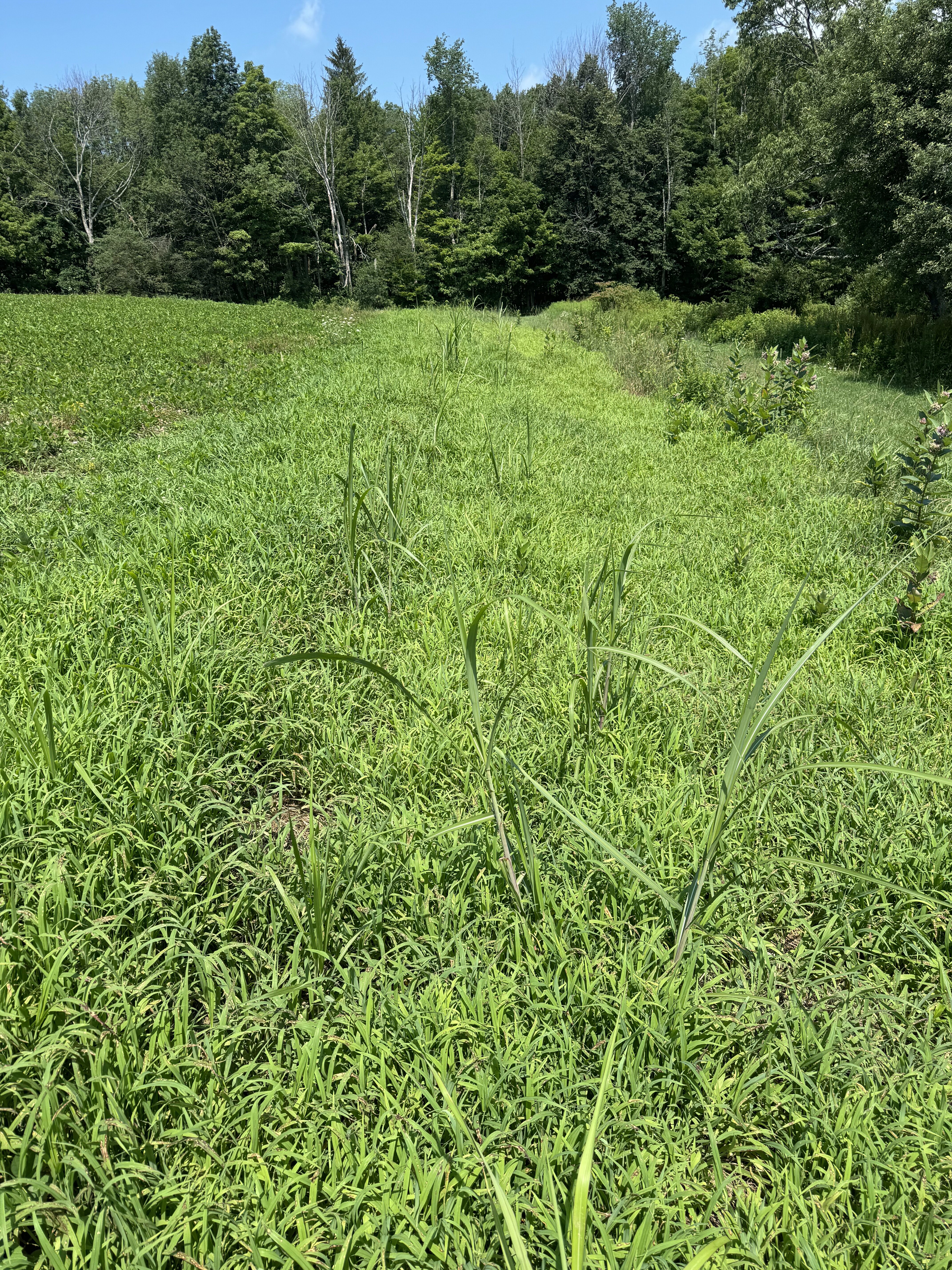 2024 Property Management