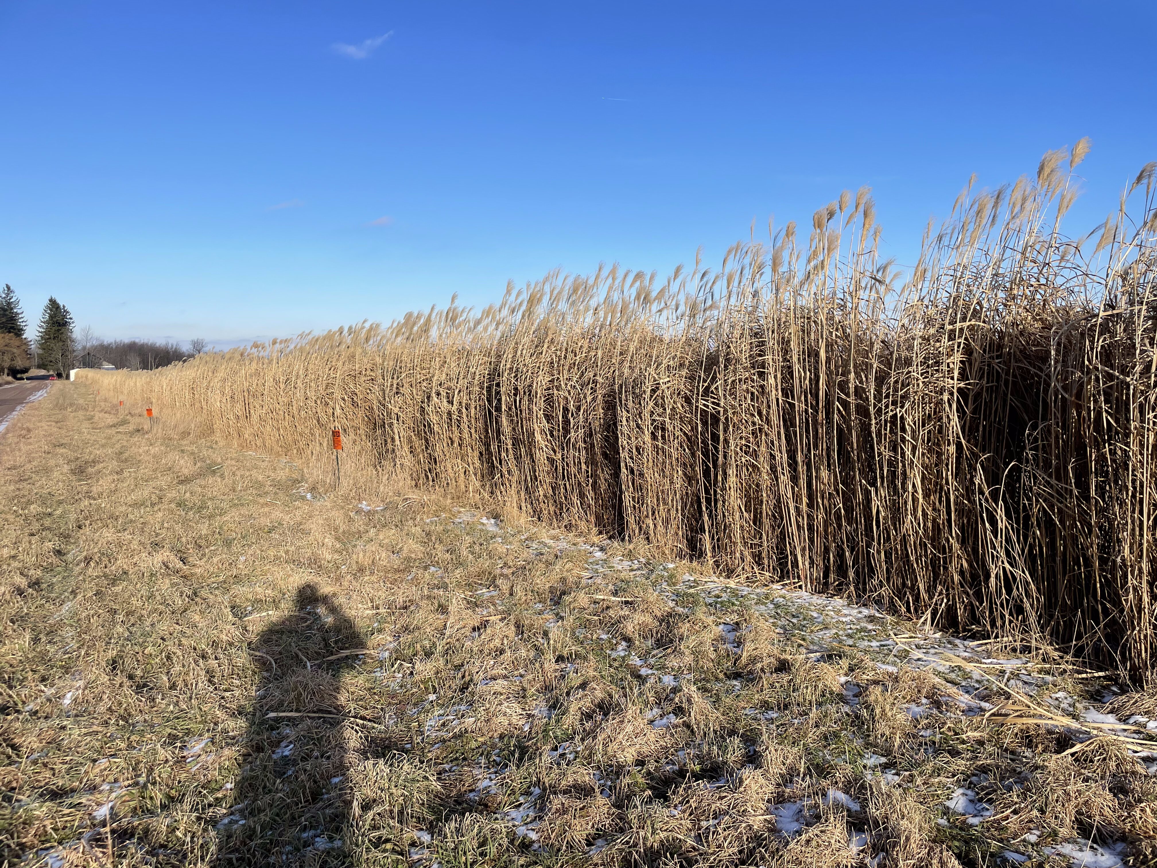 2024 Property Management