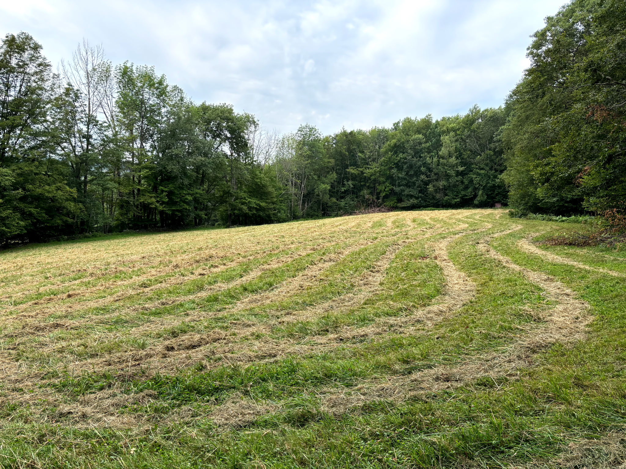 2025 Food Plots