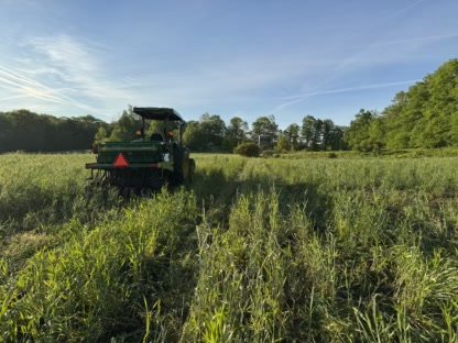 2025 Food Plots