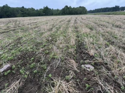 2025 Food Plots