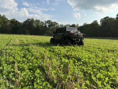 2025 Food Plots