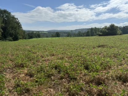 2025 Food Plots