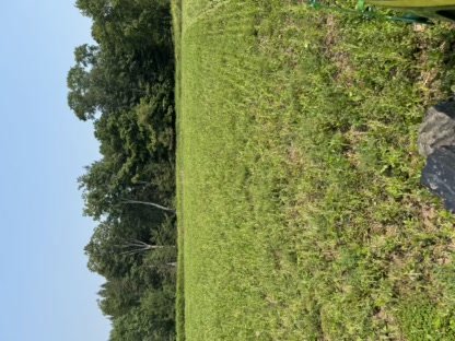 2025 Food Plots