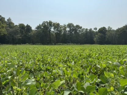 2025 Food Plots