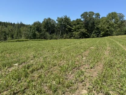 2025 Food Plots