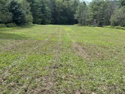 2025 Food Plots