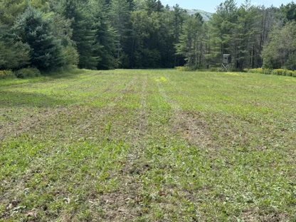 2025 Food Plots