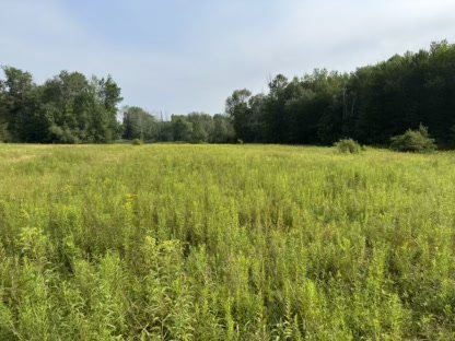 2025 Property Management