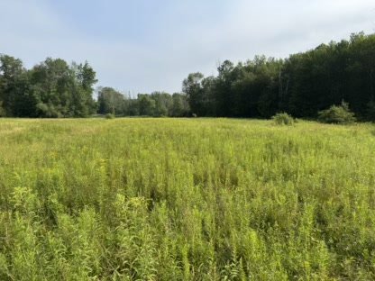 2025 Property Management