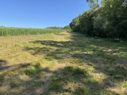 2025 Property Management