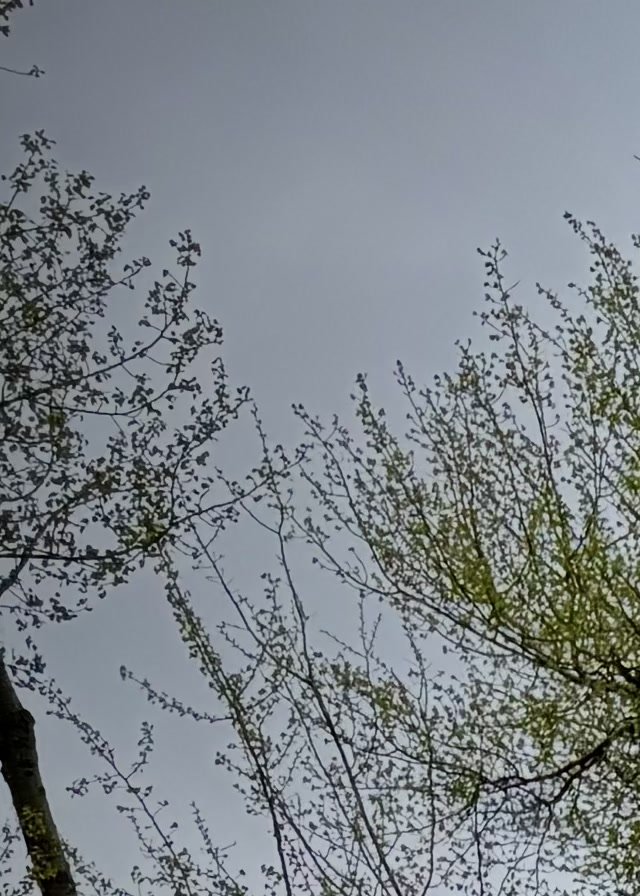 2025 Shadow Hunter Installs