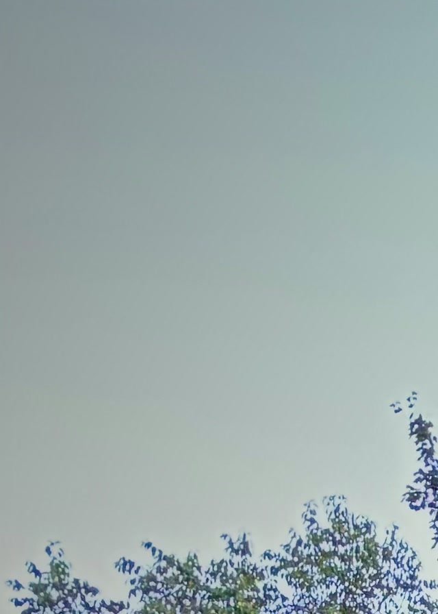 2025 Shadow Hunter Installs