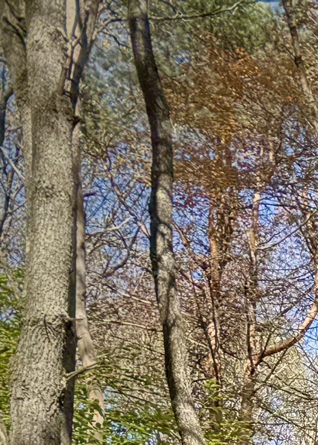 2025 Shadow Hunter Installs