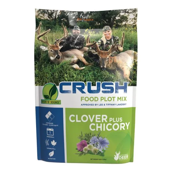 Clover Plus Chicory