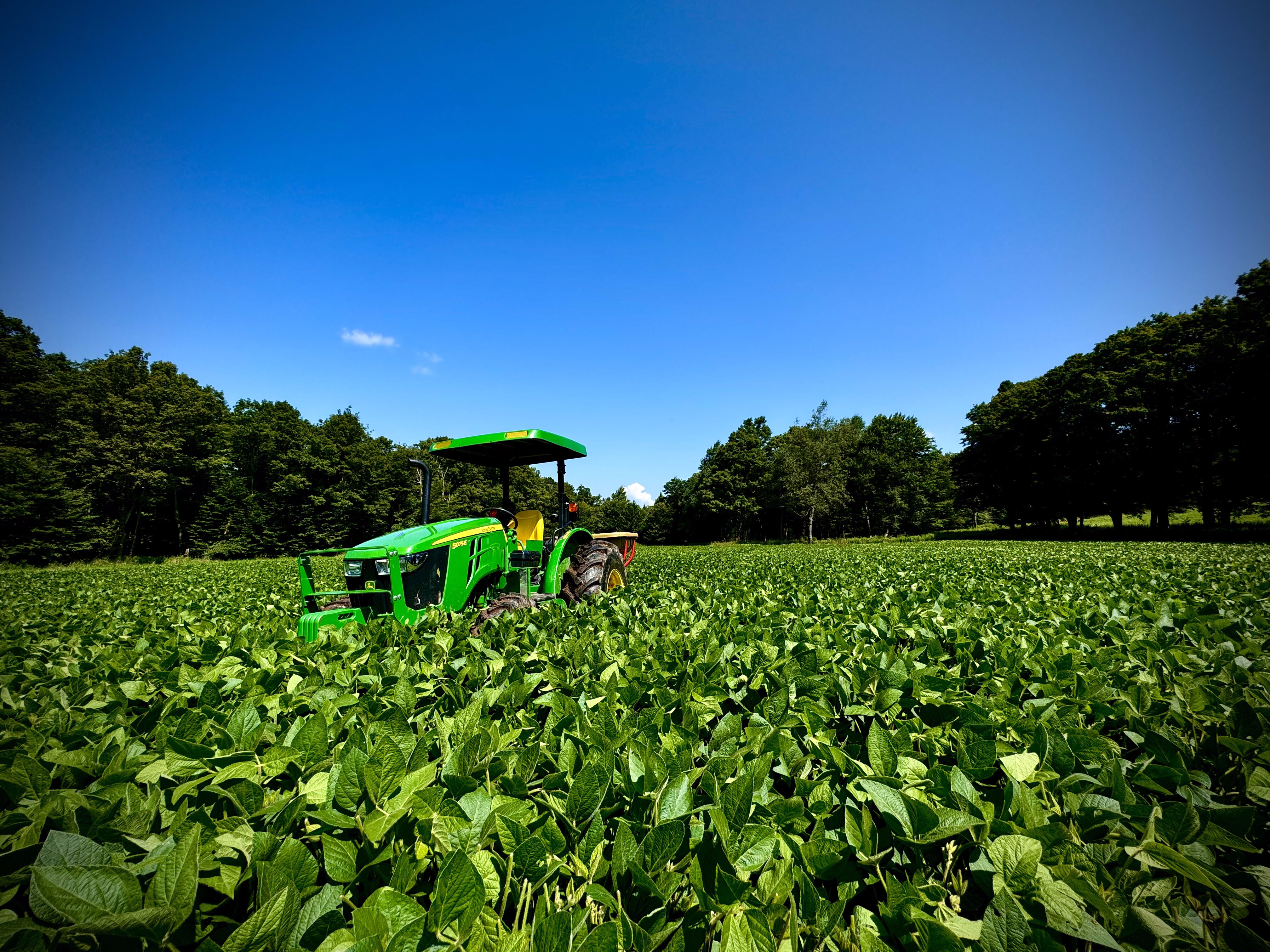 Fast Food Plots Instagram