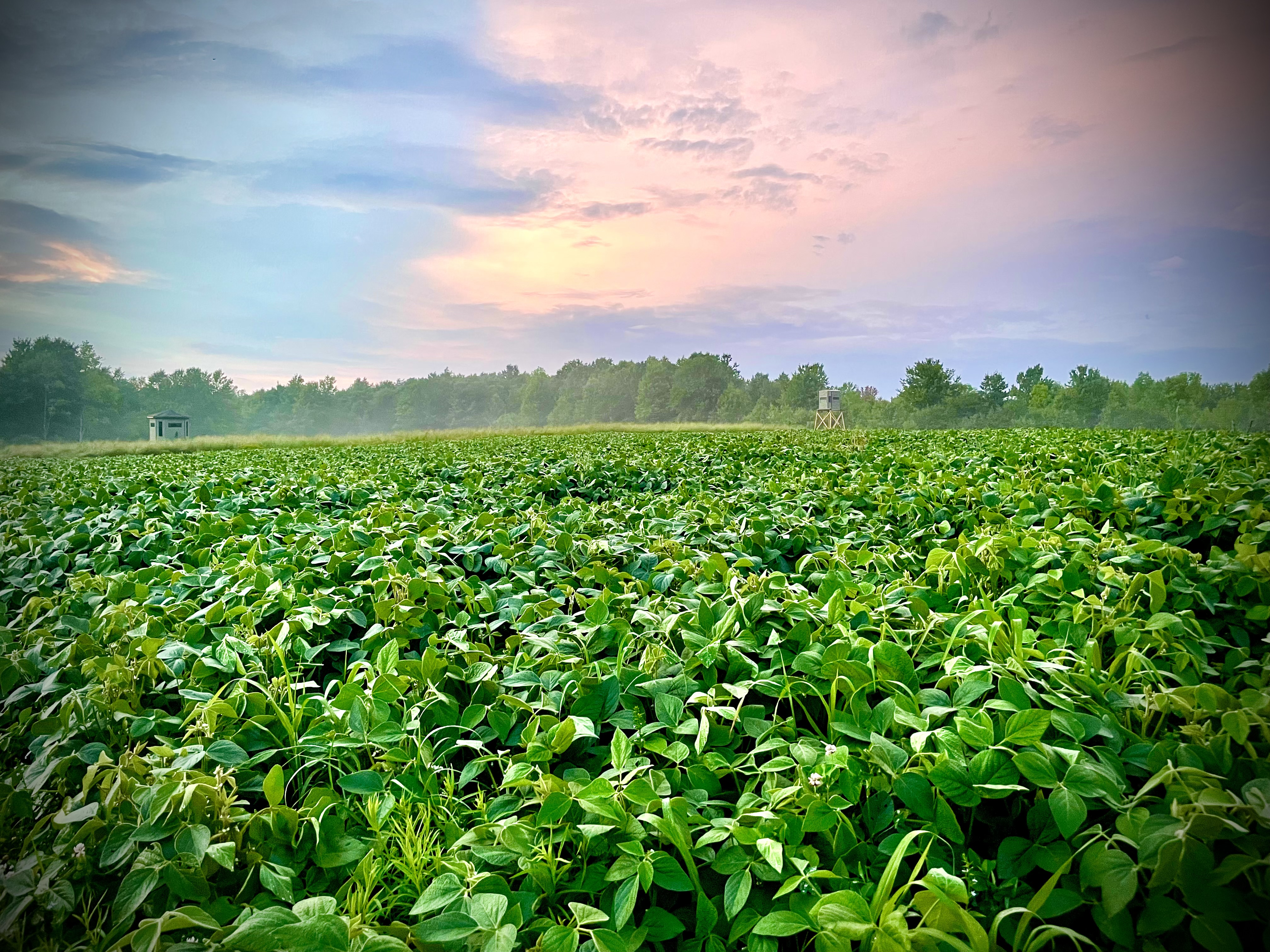 Fast Food Plots Instagram